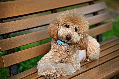 《末日求生》全新DLC“新生” 3月16日发售